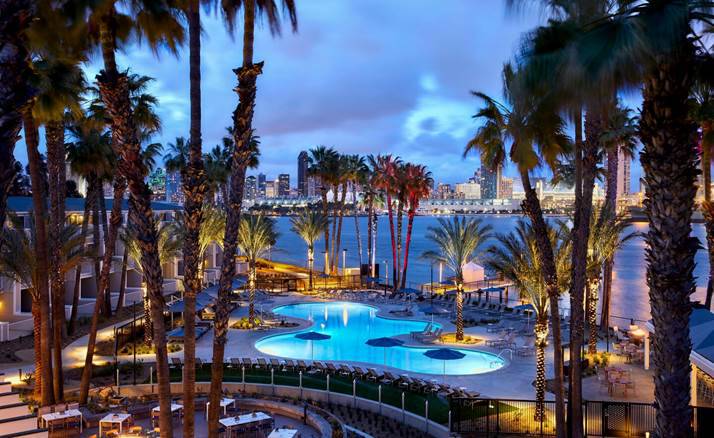 A group of palm trees next to a body of water

Description automatically generated