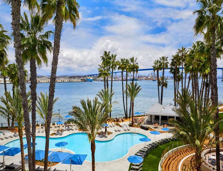 A beach with a palm tree

Description automatically generated