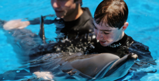 http://seaworldparks.com/%7E/media/seaworld_sandiego_com/Attractions/Exclusive%20Park%20Experiences/Dolphin%20Interaction%20Program/DIP1_232x119.ashx